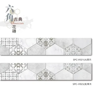 單片示意圖
