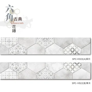單片示意圖