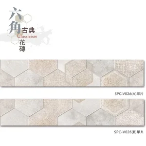 單片示意圖