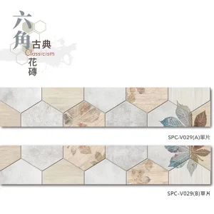 單片示意圖
