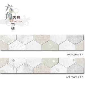 單片示意圖