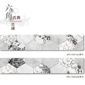 單片示意圖