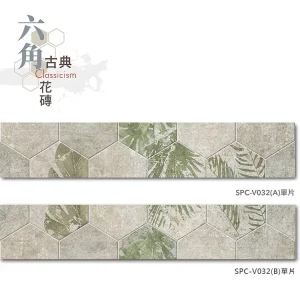 單片示意圖