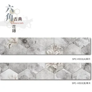 單片示意圖