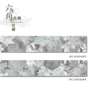 單片示意圖