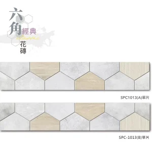 單片照