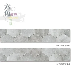 單片照