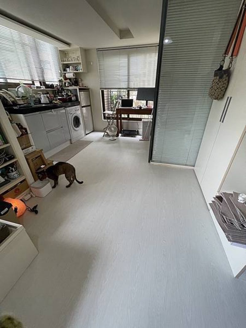 __pic_pimg_tw_kevin1003_1654315041-239693164-g_n_jpg